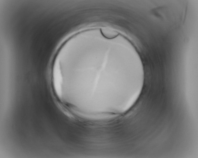X0000112971519200910081035