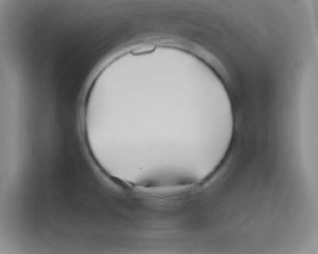 X0000112971520200910081035