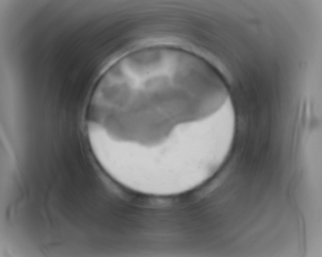 X0000112971521200910081035