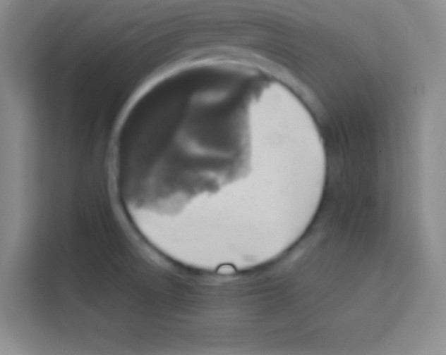 X0000112971522200910081035