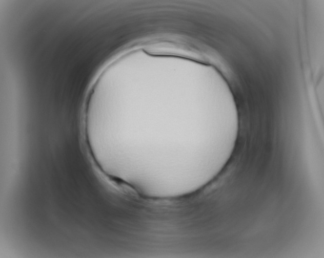 X0000112971524200910081035