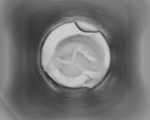 X0000112971525200910081035