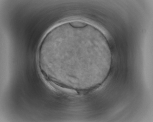 X0000112971526200910081035