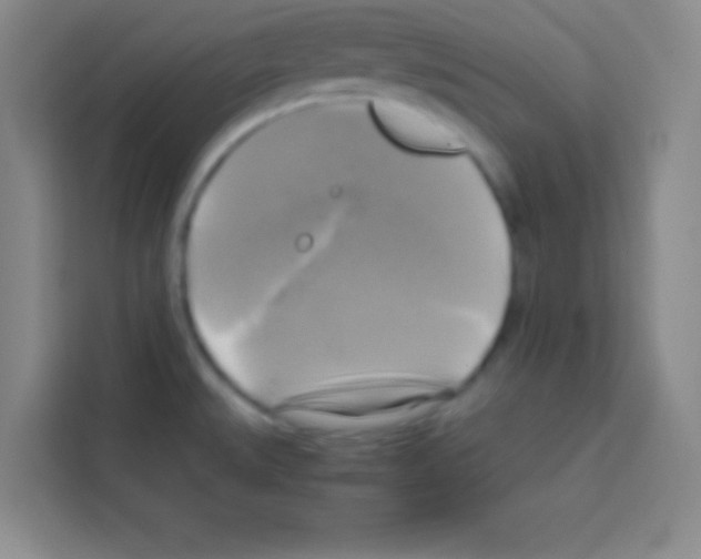 X0000112971527200910081035