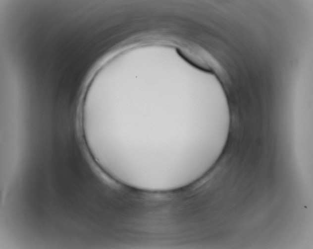 X0000112971528200910081035