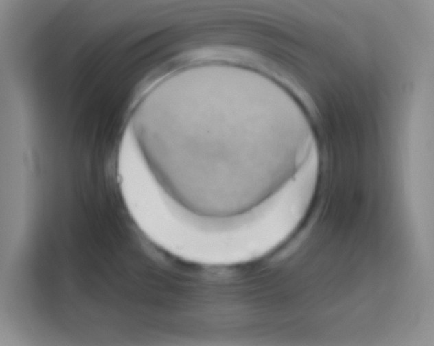 X0000112971529200910081035