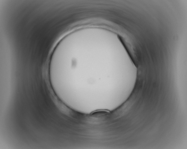 X0000112971530200910081035