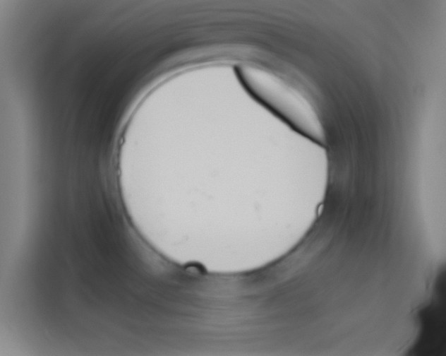 X0000112971532200910081035