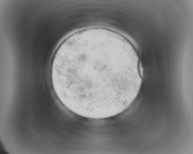 X0000112971534200910081035