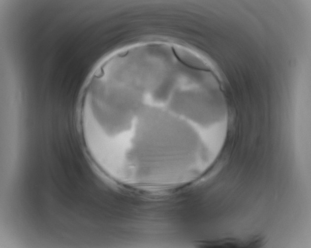 X0000112971535200910081035