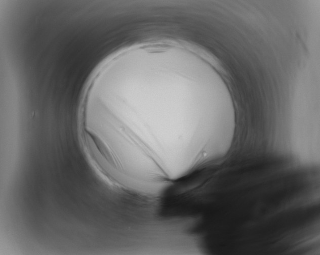 X0000112971536200910081035