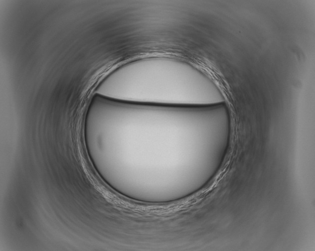 X0000112980001200908270928