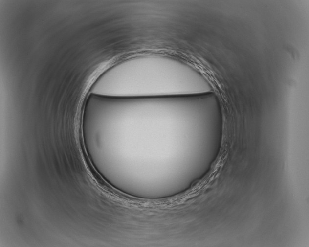 X0000112980003200908270928