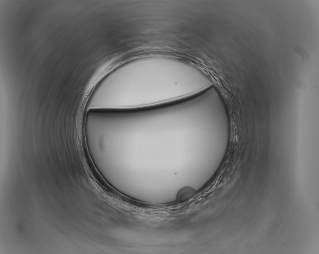 X0000112980004200908270928