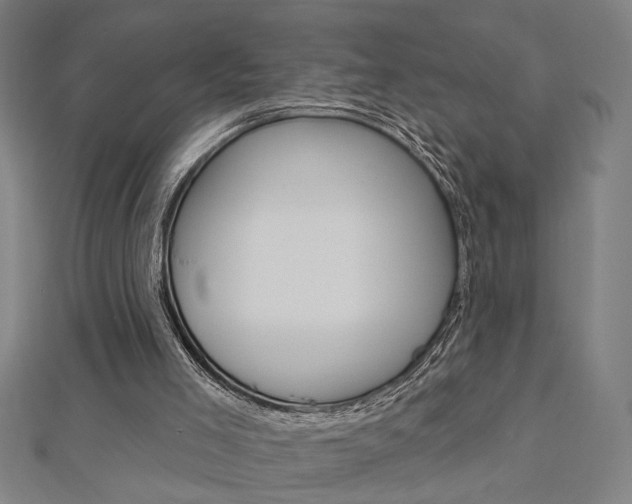 X0000112980005200908270928