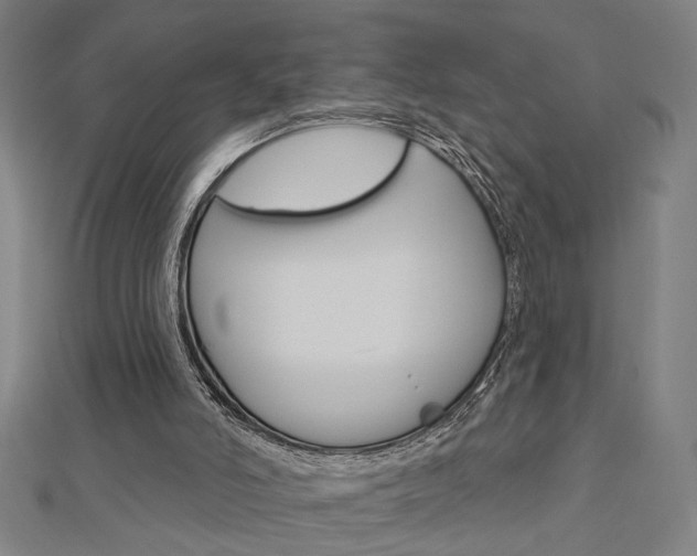 X0000112980006200908270928