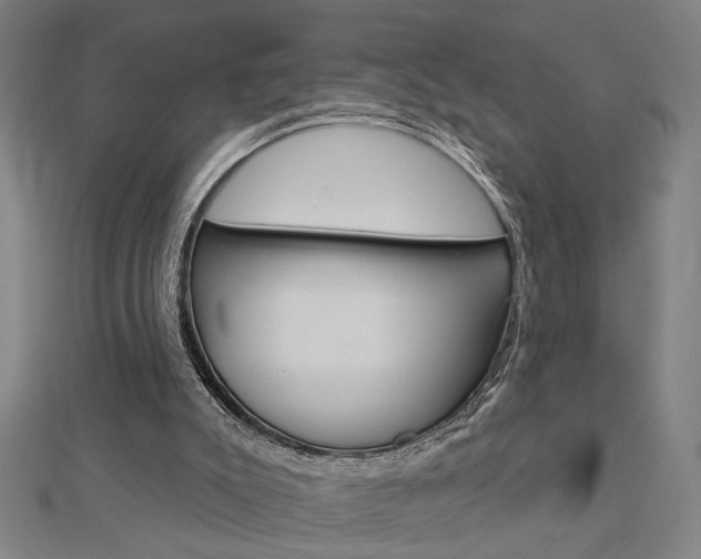 X0000112980007200908270928