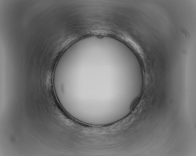 X0000112980009200908270928