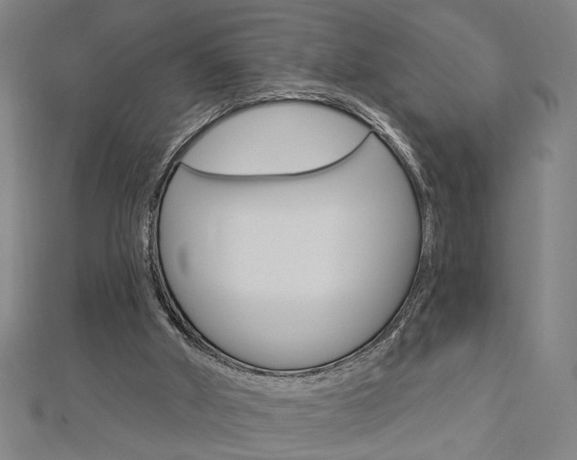 X0000112980010200908270928