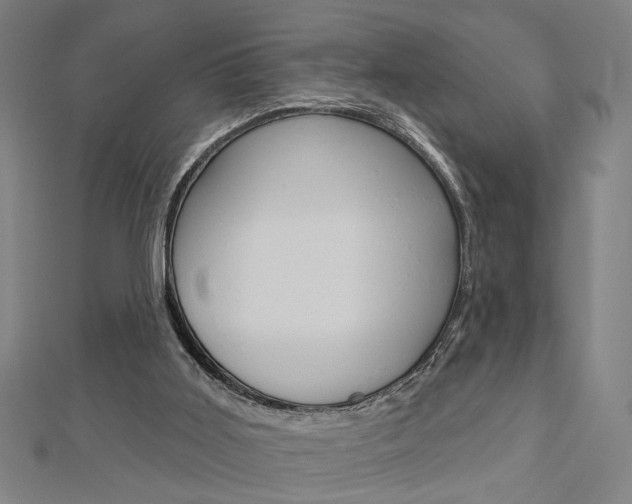 X0000112980011200908270928