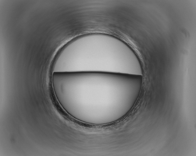 X0000112980012200908270928