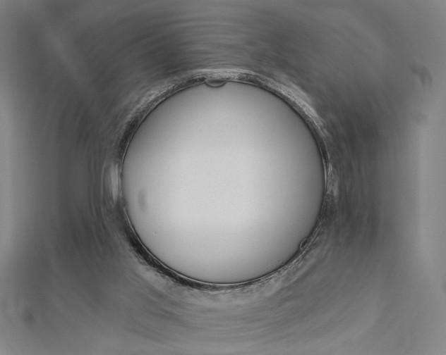 X0000112980013200908270928