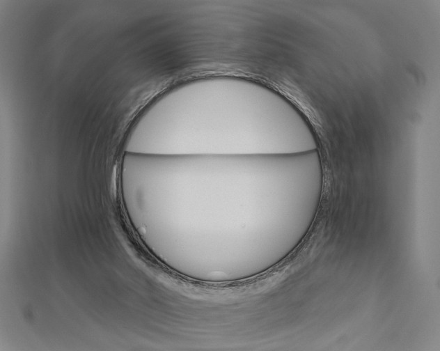 X0000112980014200908270928