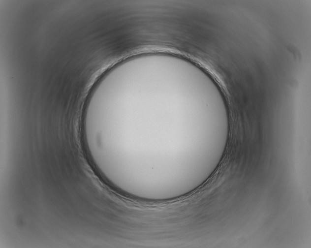 X0000112980015200908270928