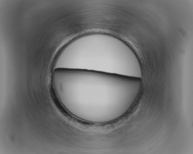 X0000112980016200908270928