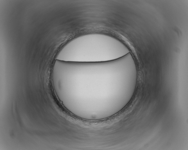 X0000112980018200908270928