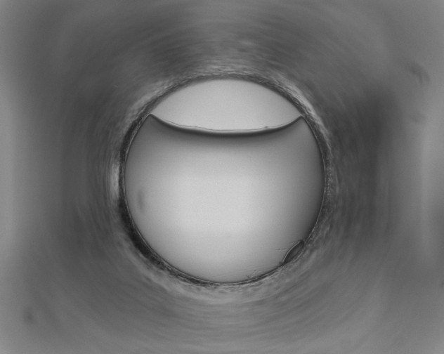 X0000112980019200908270928