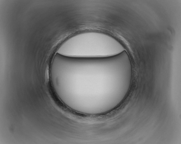 X0000112980020200908270928