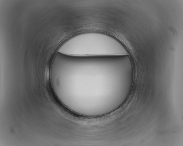 X0000112980021200908270928