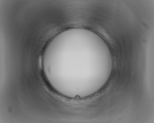 X0000112980022200908270928
