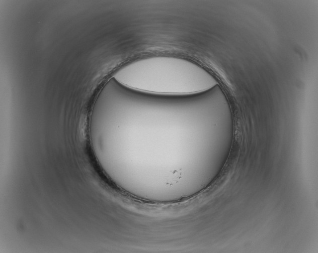 X0000112980023200908270928