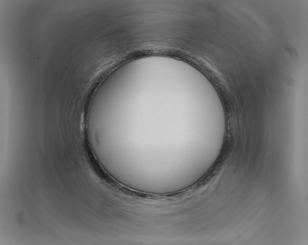 X0000112980024200908270928
