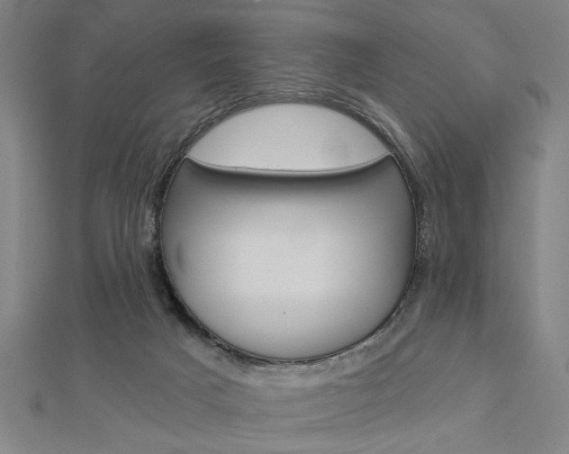 X0000112980025200908270928