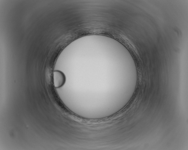 X0000112980026200908270928