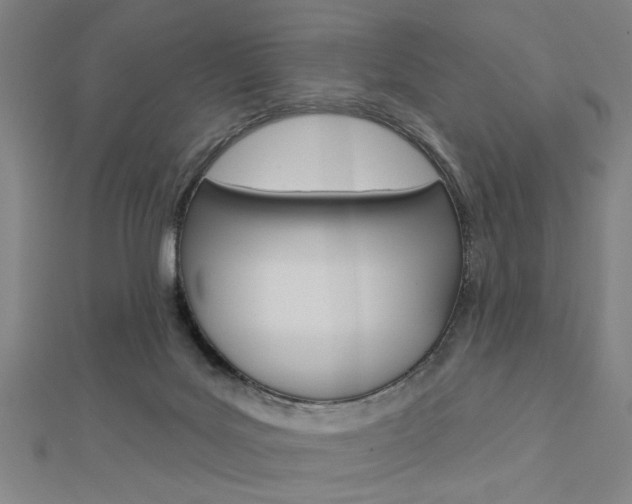 X0000112980027200908270928
