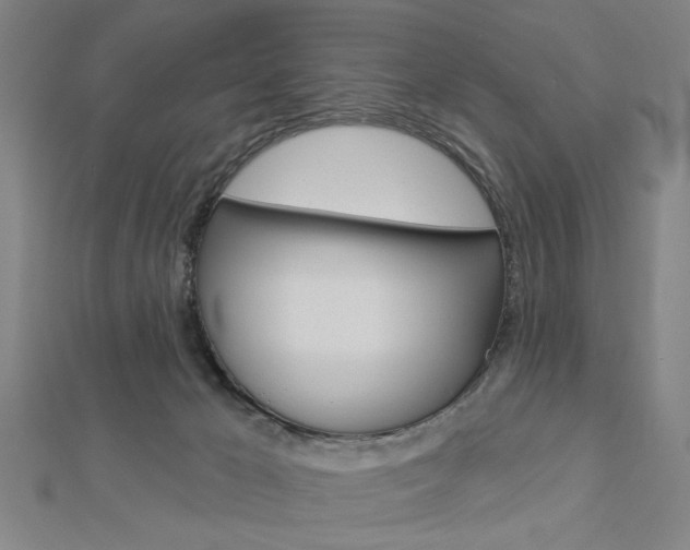 X0000112980029200908270928