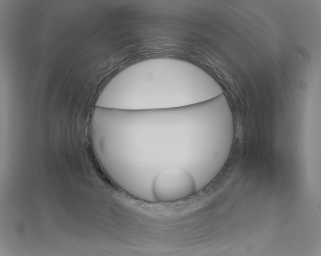 X0000112980030200908270928