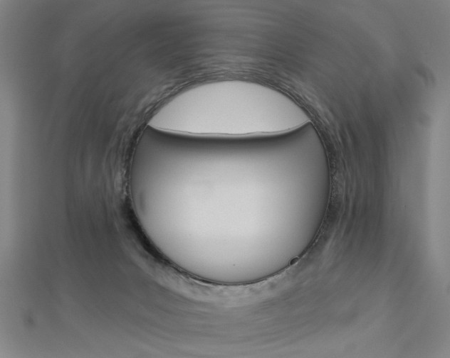X0000112980031200908270928
