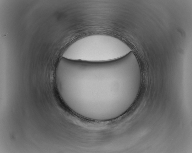 X0000112980032200908270928
