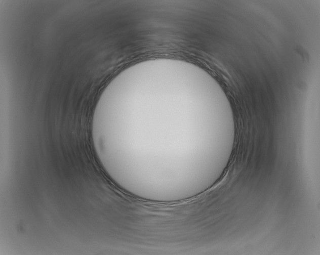 X0000112980033200908270927