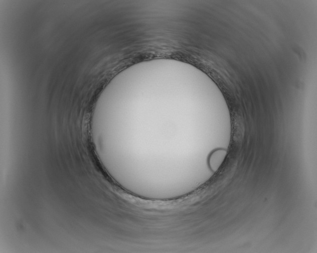 X0000112980034200908270927