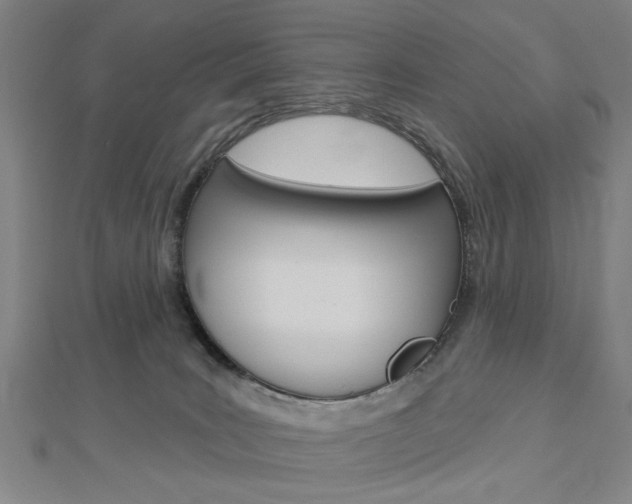 X0000112980035200908270927
