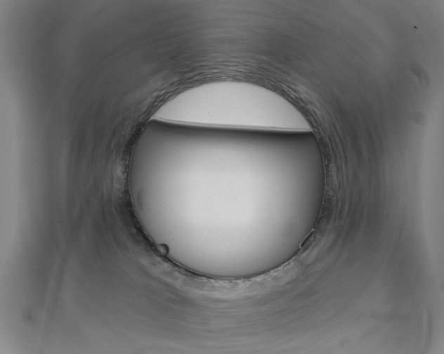 X0000112980037200908270927