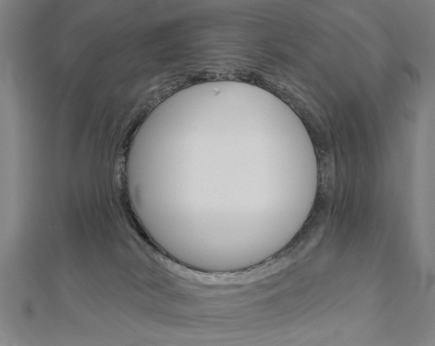X0000112980038200908270927