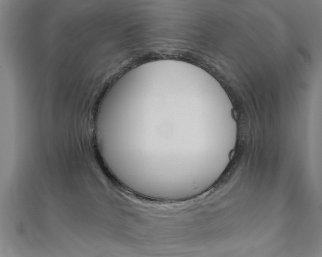 X0000112980040200908270927