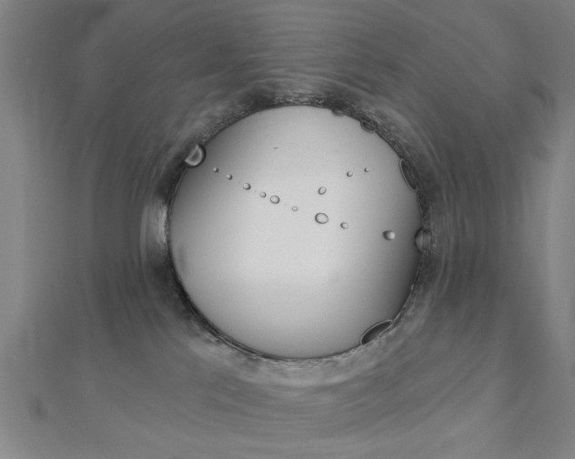 X0000112980041200908270927